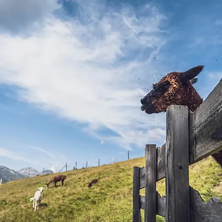 Rinerlodge By Mountain * Νταβός