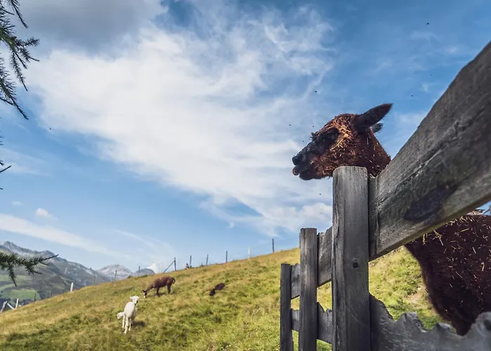 Rinerlodge By Mountain * Ostrava